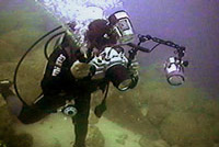 andromeda divers - cabo san lucas, los cabos