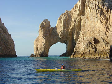cabo san lucas mexico baja wild