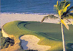 Cabo 4 Sale - Los Cabos