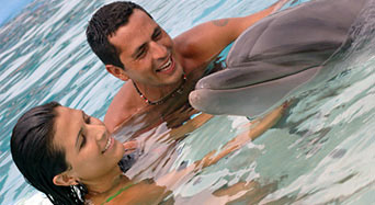 Swim with Dolphins - Cabo San Lucas