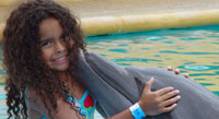 Dolphins - Cabo San Lucas