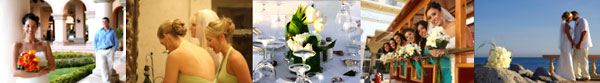 Cabo Dream Weddings - Los Cabos
