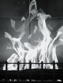 Wood Burning Oven