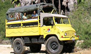 Desert Safari - Cabo San Lucas