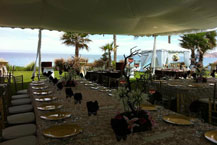 Diamante Events - Cabo San Lucas, San Jose del Cabo, Los Cabos, Mexico
