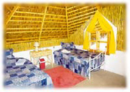 la playita san jose del cabo accomodations