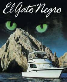el gato negro sportfishing cabo san lucas