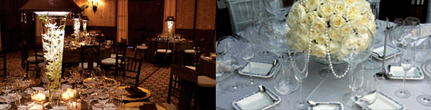 services - cabo san lucas