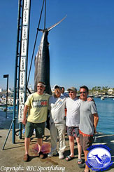 Fishing Marlin - Cabo San Lucas