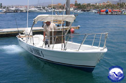 Fishing Marlin - Cabo San Lucas, Los Cabos, Baja California Sur