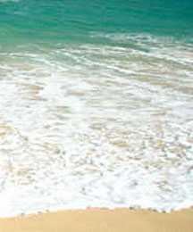 Gabriel Garcia Photography - Cabo San Lucas