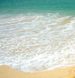Gabriel Garcia Photography - Cabo San Lucas