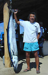fishing charter - San Jose del Cabo Los Cabos