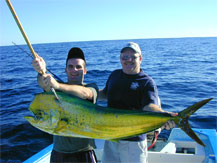 Gordo Banks Pangas - San Jose del Cabo