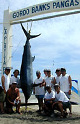 cruises - Baja California Sur