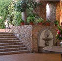 cabo san lucas hotel resort