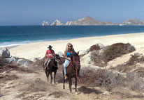 cabo san lucas horseback ride