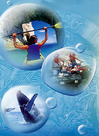 Intermar Group Los Cabos - Group Operators