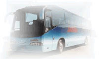Los Cabos Airport Shuttle Private Transportation