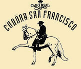 Cuadra San Francisco Cabo Horses - Horseback Riding in Mexico