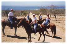 HORSES 2
