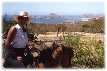 HORSES 3