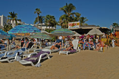 Tabasco Beach Restaurant Bar Los Cabos