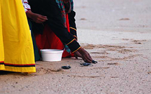Turtle Release
