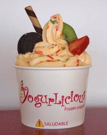 YogurLicious Frozen Yogurt - Cabo San Lucas