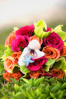 Allure Event - Wedding & Event Planner - Los Cabos, Mexico