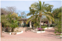 Lots for sale - Los Cabos