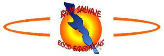 baja wild baja salvaje