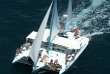 Snorkel Tour - Cabo Blue - Cabo San Lucas, Los Cabos, Mexico 