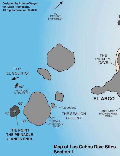 Scuba Diving in Los Cabos