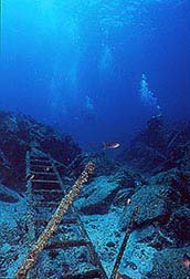 "La Reina Reef" - La Paz
