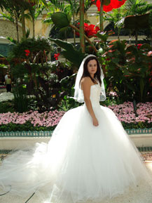 Video Editions - Dream Valley Productions - Cabo San Lucas, Los Cabos, Mexico 