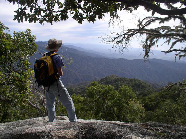 Todos Santos Eco Adventures - Todos Santos, Mexico 