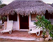 El Delfin Blanco  - San Jose del Cabo