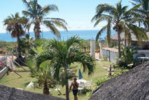 Mexican Palapa - El Delfin Blanco Hotel - San Jose del Cabo, Los Cabos, Mexico 