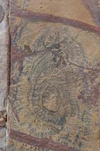 Some of the stone work shows fossilized plants - Green Homes of Cabo San Lucas