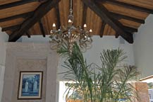 A palm tree is growing in the living area - Recyclyed wood used for ceiling - Green Homes of Cabo San Lucas