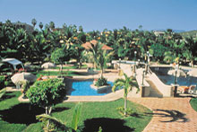 buena vista los cabos