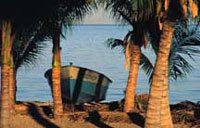 pangoa in la paz baja mexico