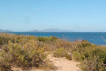 Todos Santos Lots - Los Cabos Properties Real Estate - Cabo Sa Lucas, Los Cabos, Mexico 