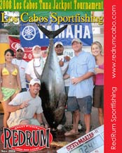RedRum Sportfishing - Blue Marlin - 650 lbs - Cabo San Lucas