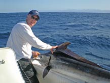 Todd Fuller - Striped Marlin - fishing in Cabo San Lucas