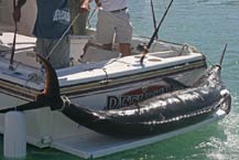 RedRum Sportfishing - Blue Marlin - 650 lbs - Cabo San Lucas