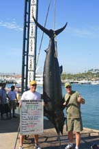 RedRum Sportfishing - Blue Marlin - 650 lbs - Cabo San Lucas