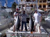 Picante Bluewater Sportfishing - Cabo San Lucas, Los Cabos, Mexico