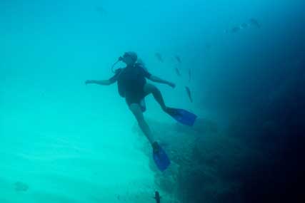 Scuba Diving - Cabo San Lucas, Los Cabos, Mexico